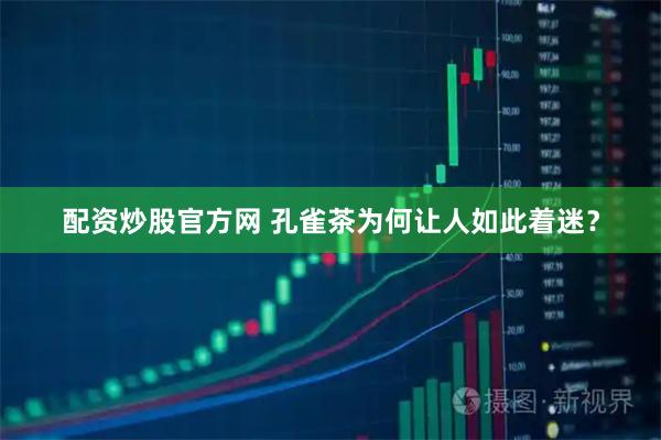 配资炒股官方网 孔雀茶为何让人如此着迷？